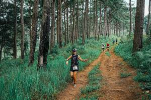 BIB: 
                            <button type="button" onclick="openModal(25660327)" class="btn btn-primary btn-sm float-right btn-popup" data-toggle="modal" data-target=".modal-high-quality">
                        <i class="fas fa-shopping-cart"></i> Add to Cart
                    </button>
                                            <button type="button" onclick="isThisMe(25660327, true)" class="btn btn-success btn-sm float-right btn-popup btn-isme hidden" data-toggle="tooltip" data-placement="bottom" title="นี่คือรูปของคุณใช่ไหม คลิกที่นี่เพื่อเอาเข้าอัลบั้ม">
                        <i class="fas fa-plus"></i> Add to album
                    </button>
                    <button type="button" onclick="isThisMe(25660327, false)" class="btn btn-warning btn-sm float-right btn-popup btn-isnotme hidden">
                        <i class="fas fa-ban"></i> Remove from album
                    </button>